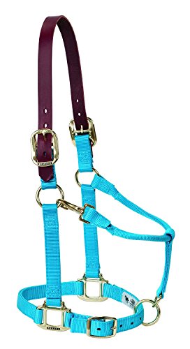 Weaver Lederhalfter für Kinn- und Halsausschnitt, verstellbar, Hurricane blau, Large Horse Weaver Lederhalfter für Kinn- und Halsausschnitt, verstellbar, Hurricane blau, Large Horse von Weaver Leather
