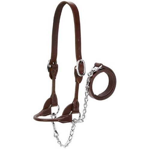 Weaver Halfter für Milch- und Rindsleder, abgerundet, 90-0505, braun, Größe S Weaver Halfter für Milch- und Rindsleder, abgerundet, 90-0505, braun, Größe S von Weaver Leather