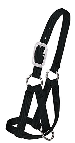 Weaver Llama-Halfter aus Leder Weaver Llama-Halfter aus Leder von Weaver Leather