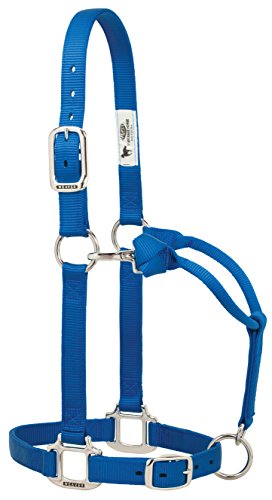 Weaver Verstellbares Nylonhalfter mit verchromten Beschlägen, 35-7375-BL, blau, 1" Weaver Verstellbares Nylonhalfter mit verchromten Beschlägen, 35-7375-BL, blau, 1" von Weaver Leather