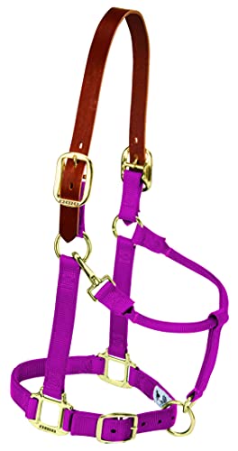 Weaver verstellbares Halfter für Kinn und Hals, Leder, n/a, Himbeere, Average Horse Weaver verstellbares Halfter für Kinn und Hals, Leder, n/a, Himbeere, Average Horse von Weaver Leather