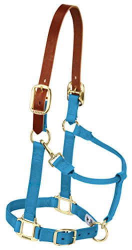 Weaver verstellbares Halfter für Kinn und Hals, Leder, n/a, Hurricane blau, Weanling/Pony von Weaver Leather