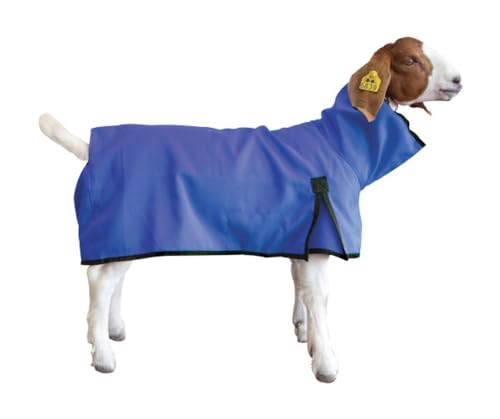 Ziegendecke, klein, Blau Ziegendecke, klein, Blau von Weaver Leather