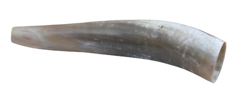 Weisskirchen Ochsenhorn 40cm Hirschruf, geeignet für die Jagd oder Tierbeobachtung von Rotwild, Wildlocker, Lockinstrument Weisskirchen Ochsenhorn 40cm Hirschruf, geeignet für die Jagd oder Tierbeobachtung von Rotwild, Wildlocker, Lockinstrument von Weisskirchen
