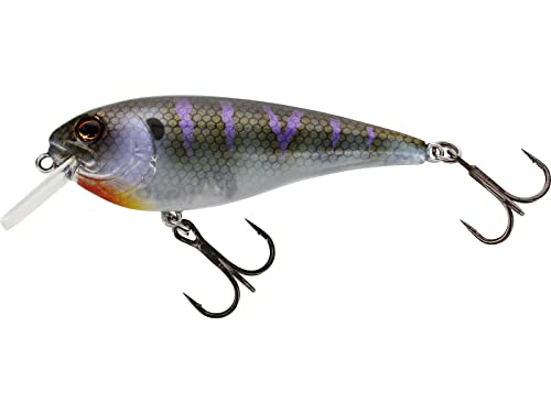 Westin Raw Bite 15cm 61g - Wobbler Floating, Farbe:Crazy Bluegill von Westin