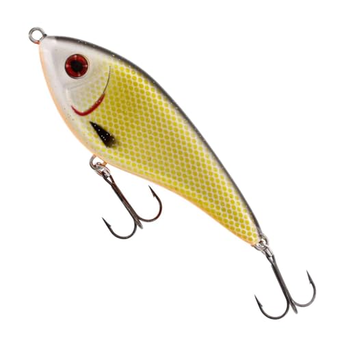 Westin Swim Glidebait Suspending 8cm 16g - Jerkbait, Farbe:Official Roach von Westin