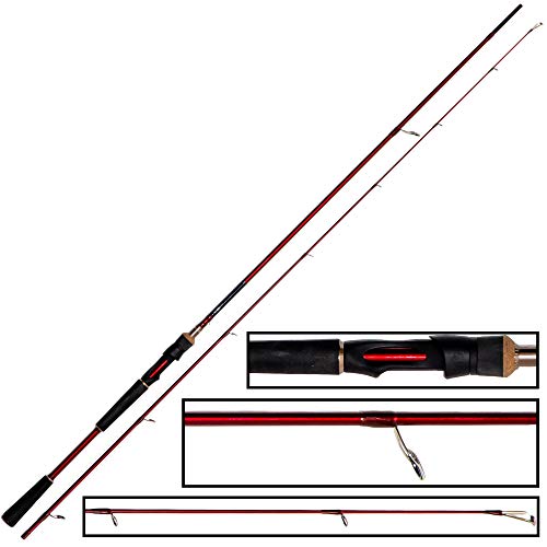 Westin W6 Powershad 240cm MH 15-40g Spinnrute von Westin