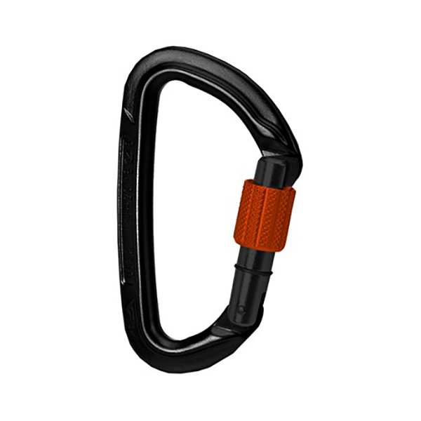 Wild Country - Session Screw Gate - Schraubkarabiner schwarz Wild Country - Session Screw Gate - Schraubkarabiner schwarz von Wild Country