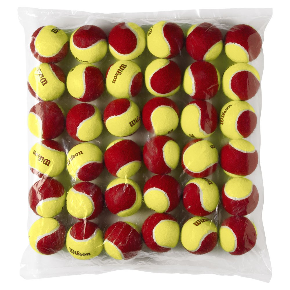 Wilson Starter Tennis Balls 36 Units Rot von Wilson