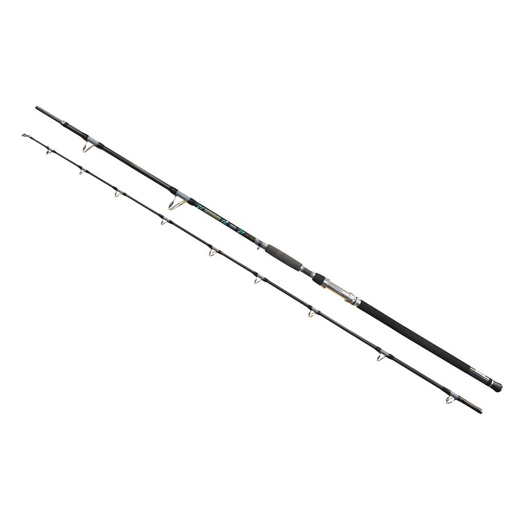 Wizard Cat Hercules Catfish Rod Silber 3.10 m / 300-600 g von Wizard