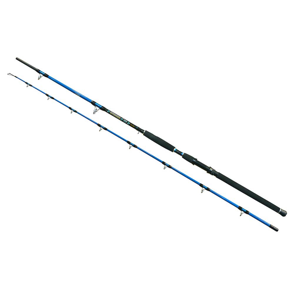 Wizard Cat Pro Power Catfish Rod Silber 3.00 m / 600-800 g von Wizard