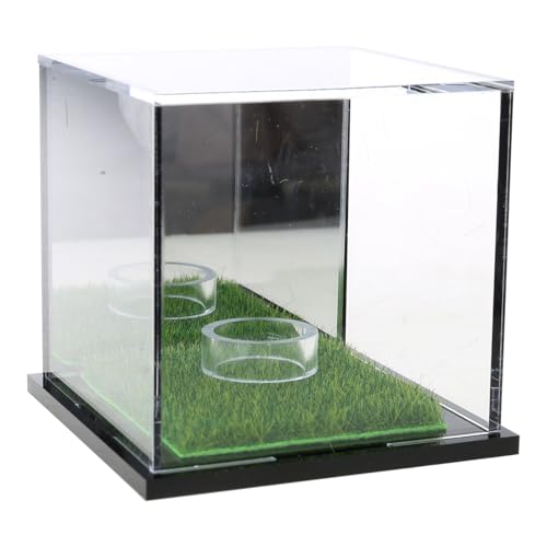 Wjsdsg Acryl Golfball Vitrine Quadratischer Display Ständer Transparente Golfball Hülle Zur Präsentation Der Autogramm Sammlung von Wjsdsg