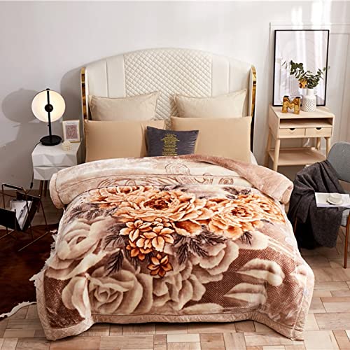 XFZJCHAP Gemütliche 9-Pfund-King-Size-Nerzdecke mit wendbarer Plüschweichheit für den Winter – bleiben Sie warm mit Dieser luxuriösen Samtdecke im koreanischen Stil in G, 200 x 230 cm von XFZJCHAP