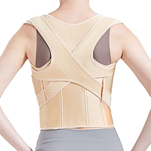 XFZJCHAP Korrektor-Rückenstütze, Schlüsselbeinstütze, stoppt Slouching und Buckel, Verstellbarer Rückentrainer, Unisex (Beige, S) von XFZJCHAP