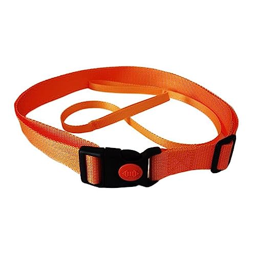 Statischer Schwimmgürtel, Schwimmtrainingsgürtel, Schwimmboje, Gurtband, Haltegurt, stationäres Schwimmen, Rettungsring, Hüftgurt Statischer Schwimmgürtel, Schwimmtrainingsgürtel, Schwimmboje, Gurtband, Haltegurt, stationäres Schwimmen, Rettungsring, Hüftgurt von XITEA