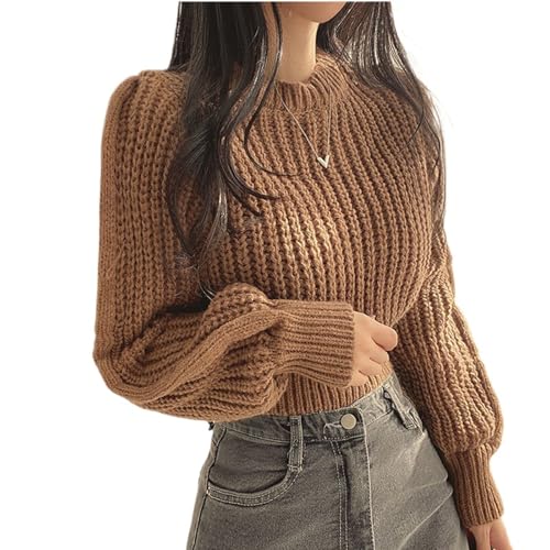 XQILGVF Damenpullover mit Zopfmuster, langärmliger Rundhalspullover, Pullover-Oberteile für den Herbst (Brown,One Size) von XQILGVF