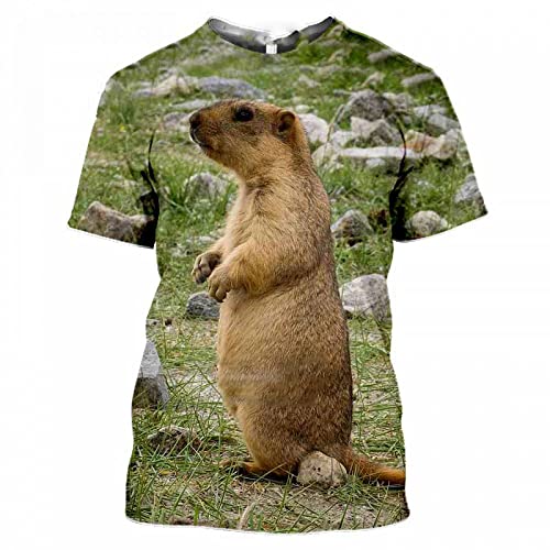 XRHYJK Herren 3D Druck T-Shirt Lustiges Marmota-Murmeltier, Das Das T-Shirt Der Männer 3D-Druck-Tier-Tier-T-Shirt Frauen-Sommer-Beiläufiges Fitness-Hemd Streetwear Isst von XRHYJK
