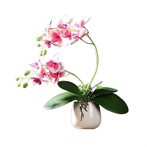 Künstliche Blumen, Phalaenopsis-Simulation, Anzug für Wohnzimmer, Esstisch, Blumendekoration, Veranda, Teetisch, Tischplatte, kleine Topfpflanze, künstliche Blumendekoration, Kunstblumen (Farbe: Gold) von YANNIES