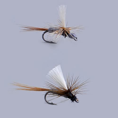 Fliegenfischen Trockenfliegen / ein Dutzend / Caddis Parachute / Dorato Hasenohr / Elch Hari / Griffith's GNAT / HEMMINGWAY / Fallschirm Adams / Royal Coachman / PEG's Midge (Adams Parachute) von YAZHIDA