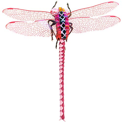 YAZHIDA Fliegenfischen Libelle (Rosa) Fliegen für Barsch, Einzelverpackung von YAZHIDA