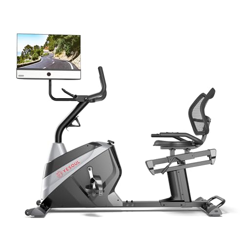 YESOUL J1 Plus Liegeergometer – 21,5" FHD-Bildschirm mit 360°-Drehfunktion, Magnetischer Widerstand mit 100 Stufen, Ergonomischer Sitz, Leises Design, Für Zuhause Fitness & Rehabilitation von YESOUL