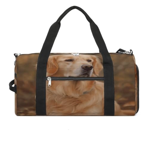 Turnbeutel Golden Retriever Turnbeutel für Damen Herren Rucksack Turnbeutel mit Schuhfach Wiederverwendbar Turnbeutel Mini Turnbeutel Golden Retriever Einheitsgröße, Golden Retriever, Einheitsgröße von YHEGBFD