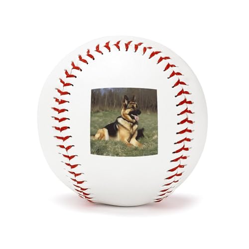 YHEGBFD Übungs-Baseballs, Deutscher Schäferhund, Spielfeld-Trainings-Baseball, Leder-Basebälle für Übungen, Freizeit und Freizeitspiele von YHEGBFD