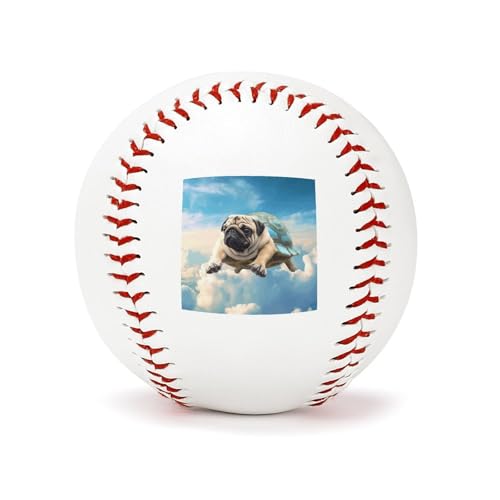 YHEGBFD Übungs-Baseballs, lustiger Schildkröten-Mops-Hund, Druck, Spielfeld, Trainings-Baseball, Leder-Basebälle für Übungen, Freizeit und Freizeitspiele von YHEGBFD