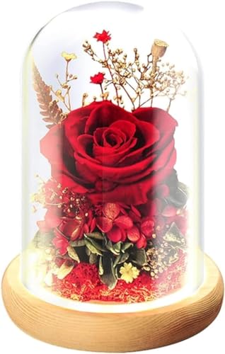 Buchvase für Blumen, Freundschaftsgeschenke, ewige Rose, für immer konservierte Rose, handgefertigte Rosenblume, Glaskuppel-konservierte Blume, nie verwelkte Rose, Glas-Rosenblume (Farbe: Rot) von YIHANSS