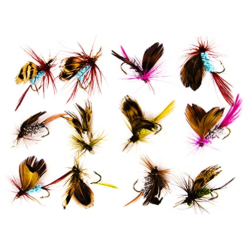 YIZITU 12 Teile/los Insekten Fliegen Locken Angeln Trocken/Nass Fliegen Swimbaits Boot Topwater Lockt Angeln Forelle Nymph Fliegen Angeln Lockt von YIZITU