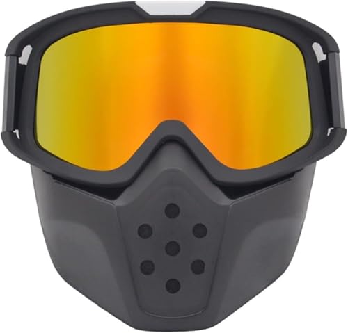 YUEKOPOU Retro-Brille, Motocross-Brille, Motorradbrille Motorradbrillenmaske Retro-Helmmaske mit offenem Gesicht Motocross-Brille mit abnehmbarer Maske Paintball-Spiel-Gesichtsmaske Moto-Maske von YUEKOPOU