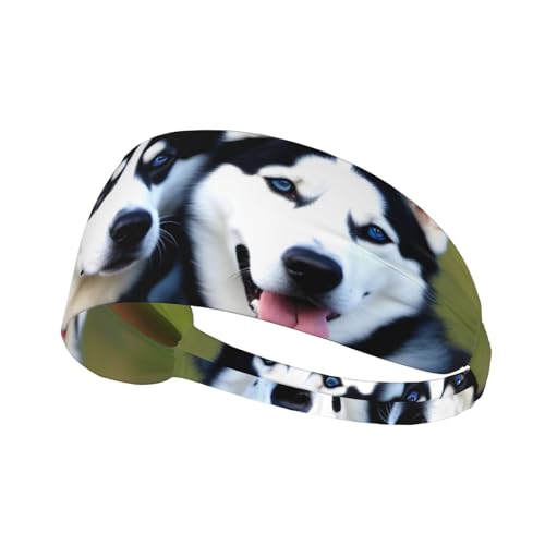 Elastisches Unisex-Sport-Stirnband, feuchtigkeitsableitend, athletisch, für Laufen, Training, Outdoor-Sport, Husky-Hunde von YYHWHJDE
