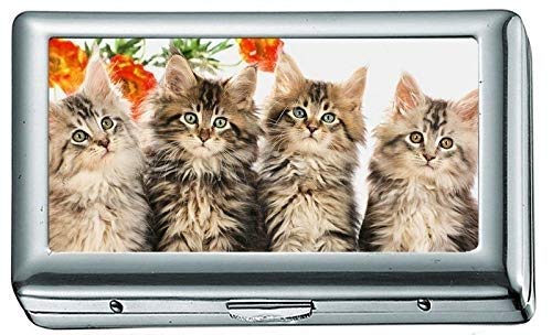 Hard Box Full Pack Zigarettenetui, Vier süße kleine Katze Zigarettenetui/Box, Kreditkartenetui für Frauen Männer Hard Box Full Pack Zigarettenetui, Vier süße kleine Katze Zigarettenetui/Box, Kreditkartenetui für Frauen Männer von YENDOSTEEN