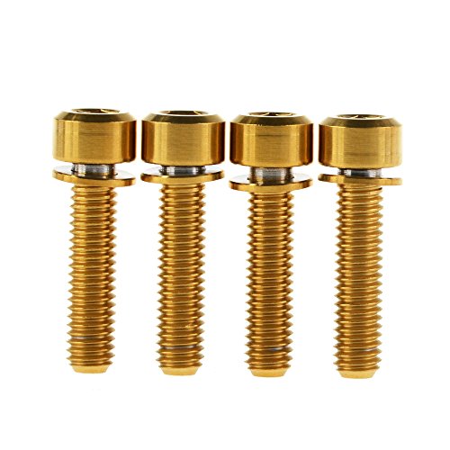 Yaruijia Titan M6 x 16 20 25 mm Inbusschrauben mit Unterlegscheiben für Fahrradbremse, 4 Stück, gold, M6x20mm Yaruijia Titan M6 x 16 20 25 mm Inbusschrauben mit Unterlegscheiben für Fahrradbremse, 4 Stück, gold, M6x20mm von Yaruijia