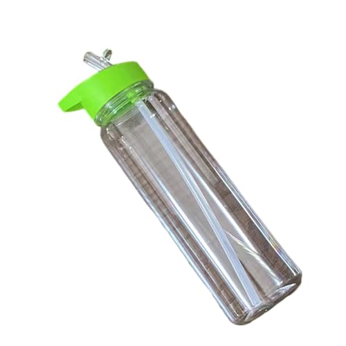 Yazhuq 700 ml große Kapazität, transparente Wasserflasche, auslaufsicher, Trinkflasche, Trinkgeschirr, Becher für Schule, Outdoor-Sport von Yazhuq