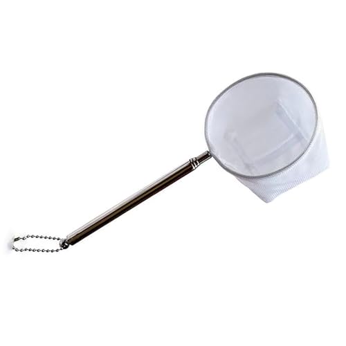 Kleiner Fischkescher aus Edelstahl mit Ausziehbarem Griff für Kleine Garnelen, Salzgarnelen und Fische – und Effizientes Fischkescher Kleiner Fischkescher aus Edelstahl mit Ausziehbarem Griff für Kleine Garnelen, Salzgarnelen und Fische – und Effizientes Fischkescher von Yctze