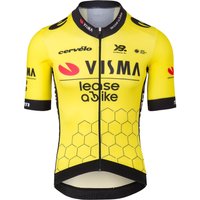 TEAM VISMA LEASE A BIKE Race 2025 Kurzarmtrikot, für Herren, Größe M, TEAM VISMA LEASE A BIKE Race 2025 Kurzarmtrikot, für Herren, Größe M, von YellowB