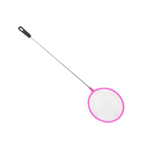 Yeselino Aquarium-Fischernetz, Durchmesser 7,6 cm, 11,4 cm, feines Netz, kleines Fangnetz mit Griff für Mini-Fischbecken Yeselino Aquarium-Fischernetz, Durchmesser 7,6 cm, 11,4 cm, feines Netz, kleines Fangnetz mit Griff für Mini-Fischbecken von Yeselino