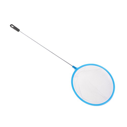 Aquarium-Fischernetz, Durchmesser 7,6 cm, 11,4 cm, feines Netz, kleines Fangnetz mit Griff für Mini-Fischbecken Aquarium-Fischernetz, Durchmesser 7,6 cm, 11,4 cm, feines Netz, kleines Fangnetz mit Griff für Mini-Fischbecken von Yeselino