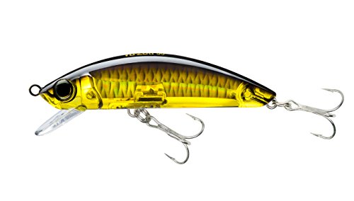 Yo-Zuri 3D Inshore Minnow Schwimmender Köder, 8,9 cm, Gold Schwarz von Yo-Zuri