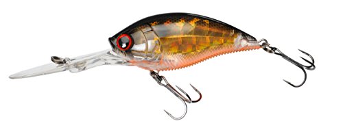 Yo-Zuri 3DB Deep Crank Schwimmender Tauchköder, Prism Gold Schwarz, 6 cm, 1 Stück Yo-Zuri 3DB Deep Crank Schwimmender Tauchköder, Prism Gold Schwarz, 6 cm, 1 Stück von Yo-Zuri