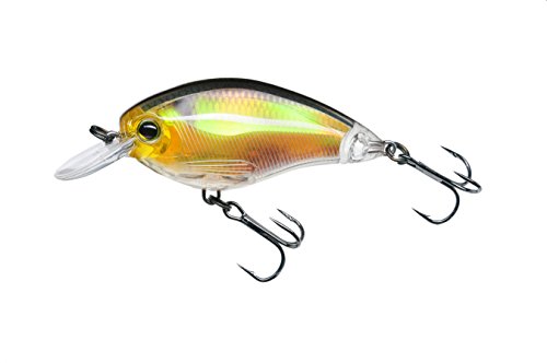 Yo-Zuri 3DR Flache Kurbel Schwimmköder, 5,1 cm, Echter Goldglanz Yo-Zuri 3DR Flache Kurbel Schwimmköder, 5,1 cm, Echter Goldglanz von Yo-Zuri