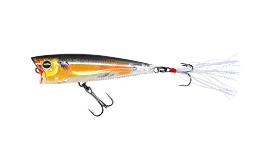 Yo-Zuri 3DR Popper schwimmender Kunstköder, 6,4 cm, echter Goldschimmer Yo-Zuri 3DR Popper schwimmender Kunstköder, 6,4 cm, echter Goldschimmer von Yo-Zuri