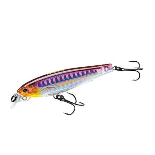 Yo-Zuri 3DS Minnow Suspending Shallow Diving Crankbait – holografischer Schmelz, 7,5 cm Yo-Zuri 3DS Minnow Suspending Shallow Diving Crankbait – holografischer Schmelz, 7,5 cm von Yo-Zuri