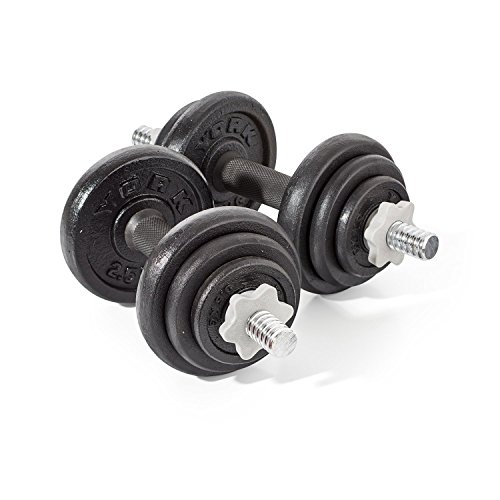 York Fitness Gewicht, 20 KG Cast Iron DB Set - Brown Carton von York