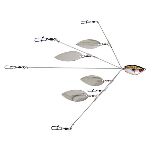 Yum Lures Yumbrella Tennessee Special Flash Mob 5 Draht, Einheitsgröße Yum Lures Yumbrella Tennessee Special Flash Mob 5 Draht, Einheitsgröße von Yum Lures