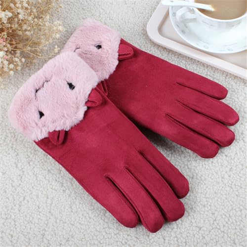 ZAJIWFG Frauen-Screen-Handschuhe, Herbst Und Winter Plus Samt Windundurchlässige Warme Handschuhe, Kursteilnehmer Im Freien Sport-Handschuhen (Pink),6# von ZAJIWFG