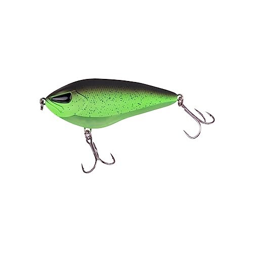 ZECK - Hardbait, Kunstköder, Jerkbait - Rogue Glider 10 cm | 1 m S - Moor Kiwi von ZECK