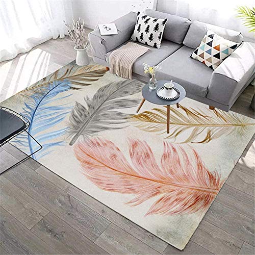 ZERAPH Moderner Teppich mit bunten Federn für Wohnzimmer, Schlafzimmer, Nachttisch, Couchtisch, Sofa, leicht zu reinigen, 160×230CM (5ft3 x7ft8) von ZERAPH