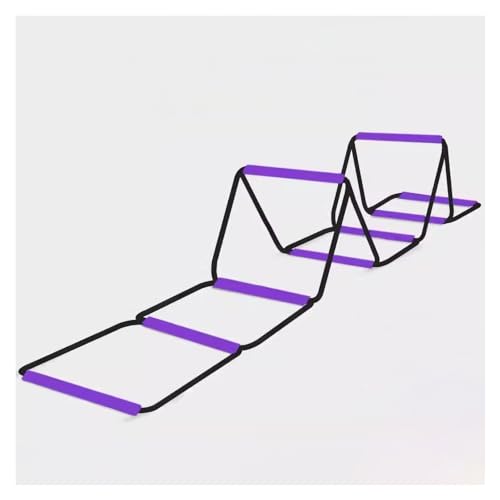 Leichte Geschwindigkeitstrainingshürde, Hindernistrainingsübung, multifunktionale bunte tragbare Bahnhürde (Color : Purple, Size : 5.04m/16.5ft) von ZERVA